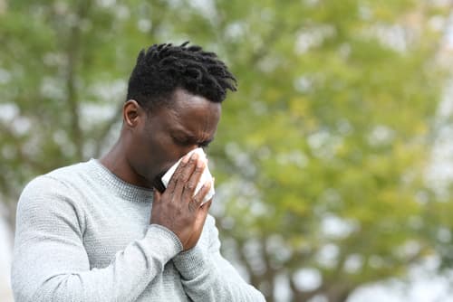 seasonal springtime allergies dr maria swetech