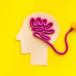 brain health alzheimer's dr maria swetech